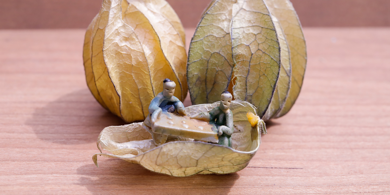 Les contes zen du potager